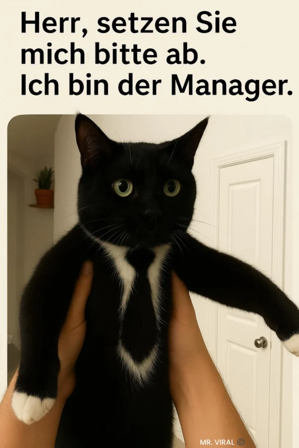 Sofa zum verschenken