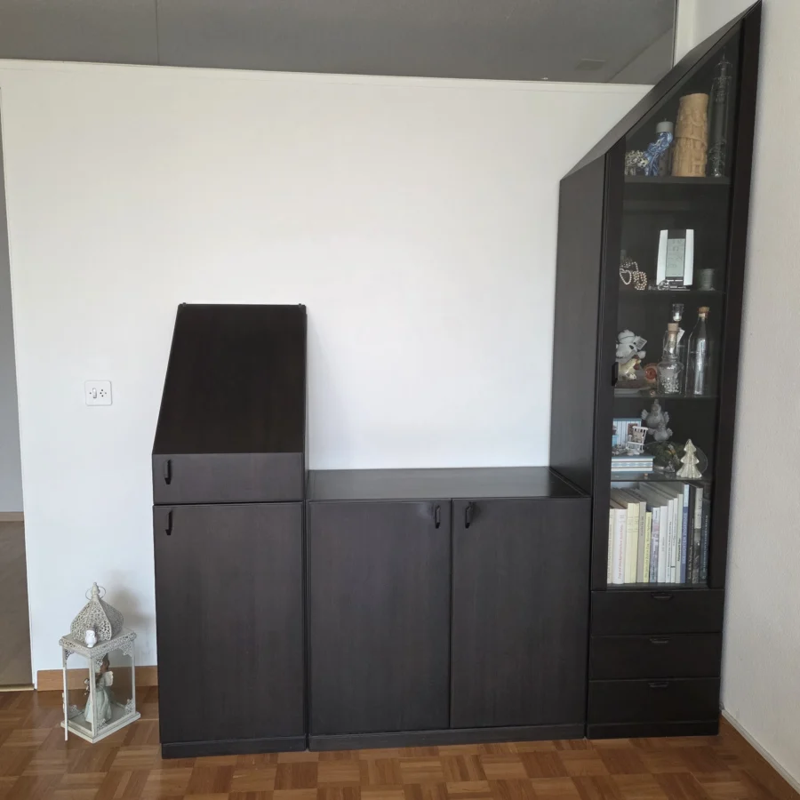 Wohnwand Modell 41- Team Malambo/336 zu verschenken